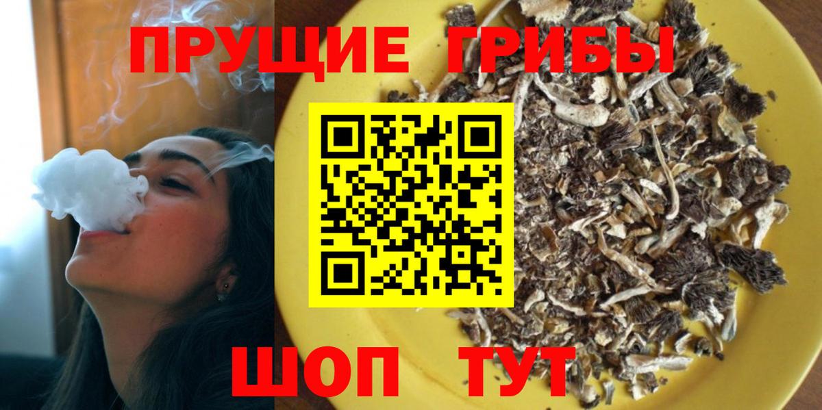 Псилоцибиновые грибы Magic Shrooms  Вход с VPN  Холмск  Галлюциногенные грибы Cubensis 